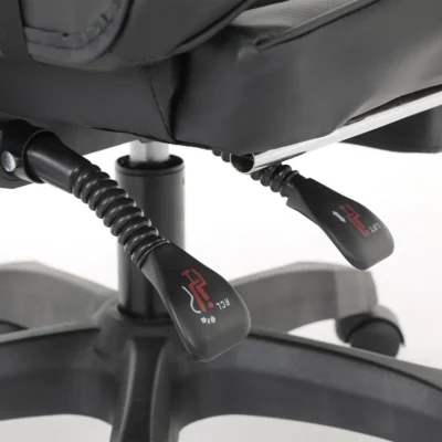 E Dra Dignity EGC234 Den 1