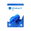 Windows 11 Pro 64Bit Eng Intl 1pk DSP OEI DVD