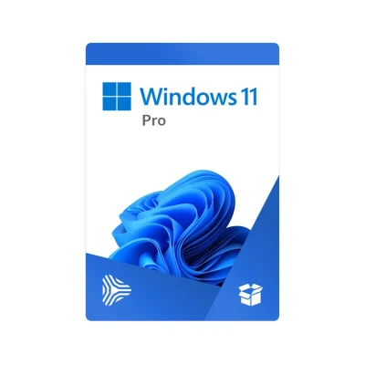 Windows 11 Pro 64Bit Eng Intl 1pk DSP OEI DVD